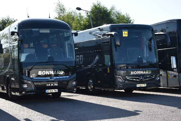 This image for Image Layouts addon